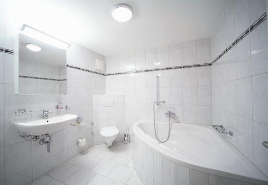Luegisland Wohnung Salietti
