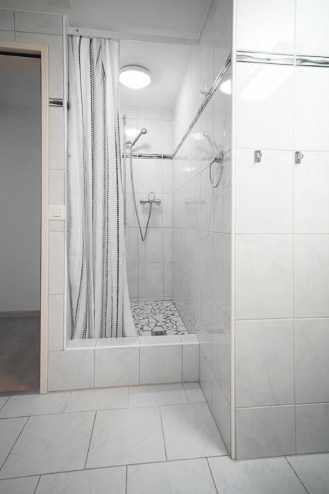 Luegisland Wohnung Salietti