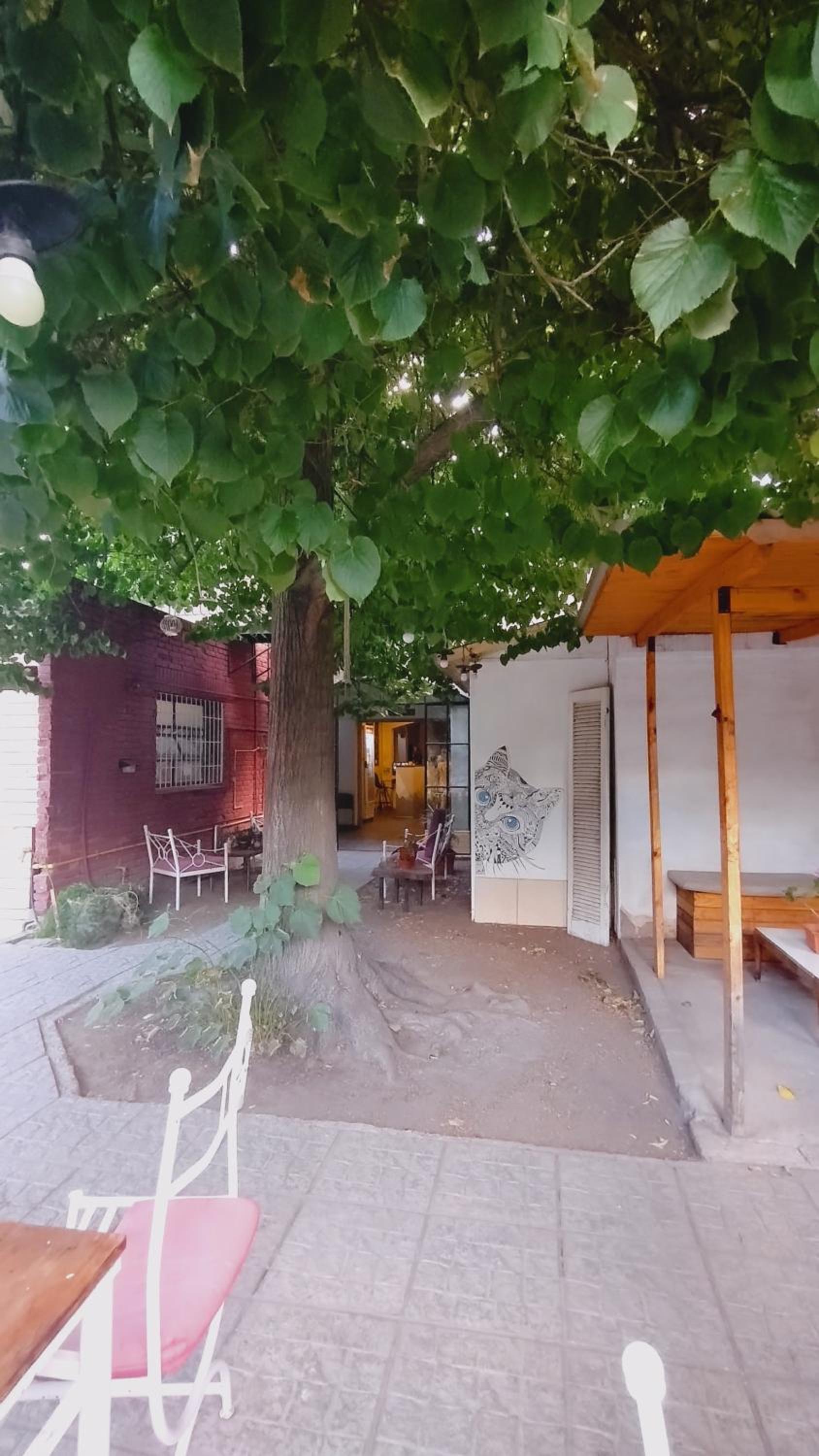 Mora Hostel