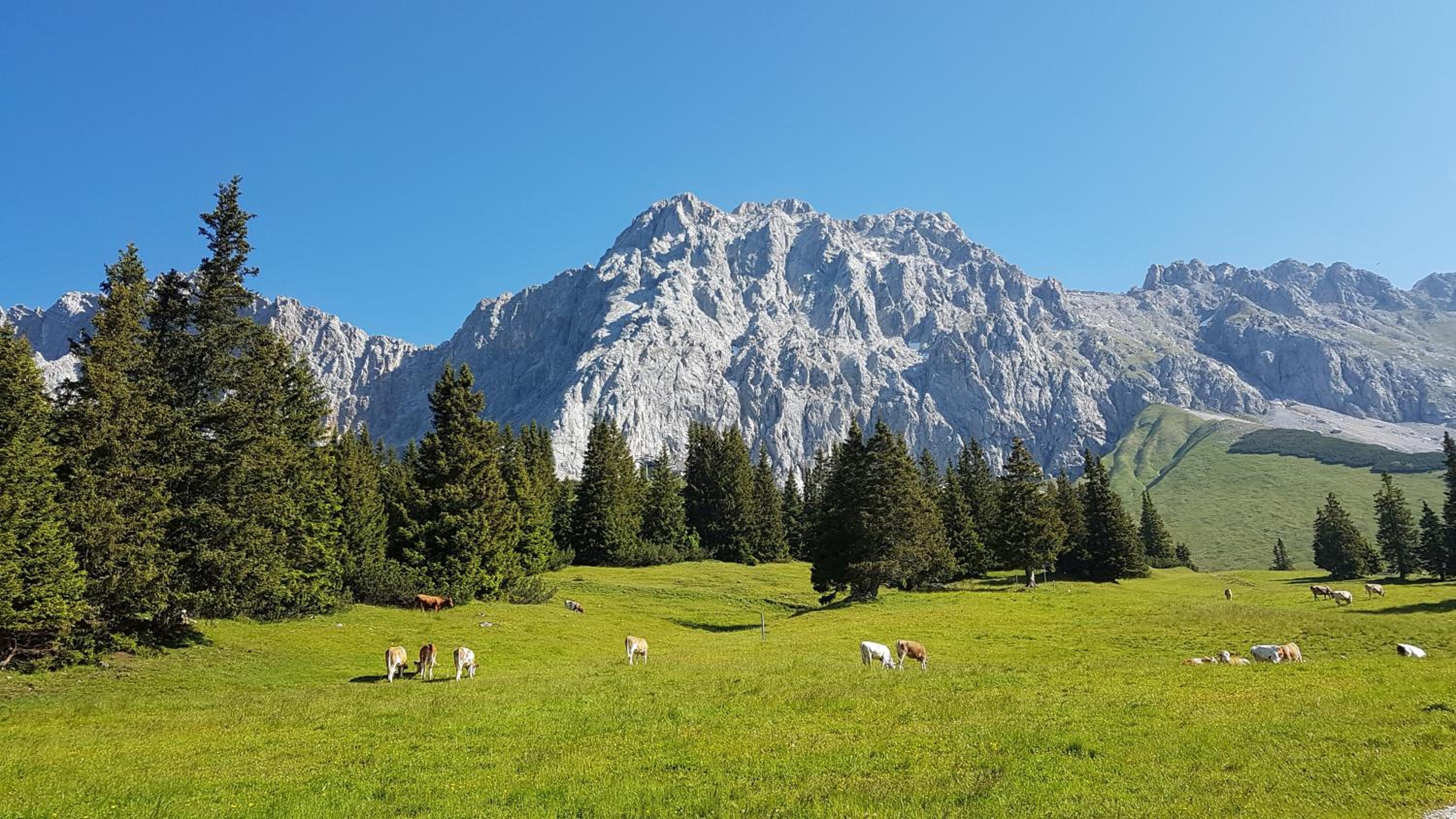 Ferienhaus Villa Alpenpanorama