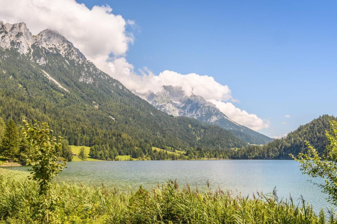Ferienhaus Villa Alpenpanorama