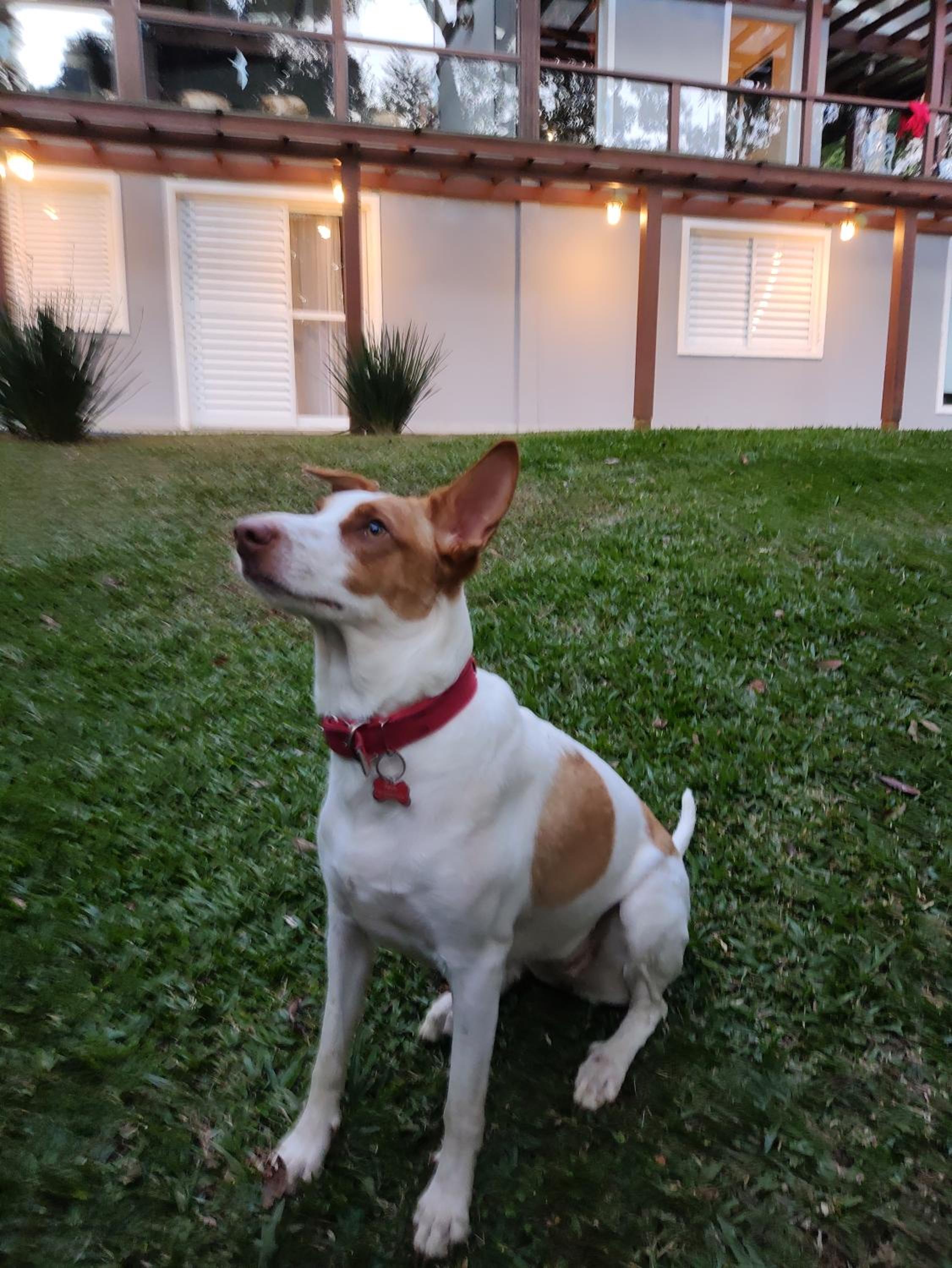 Refugio Familiar em Monte Verde