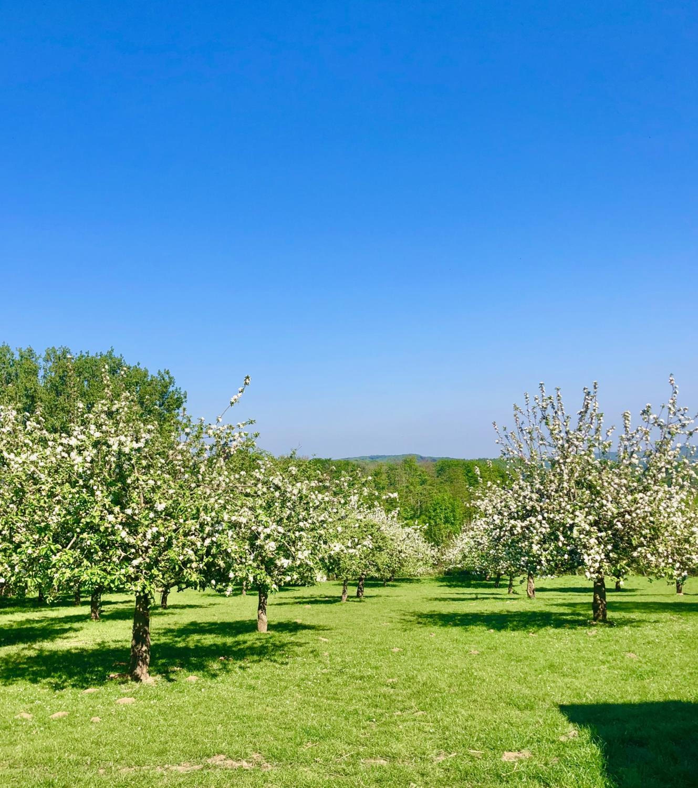 Boeckhaege vakantiewoning