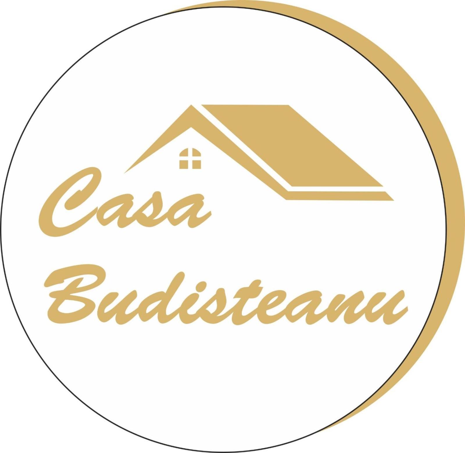 Casa Budisteanu view 3