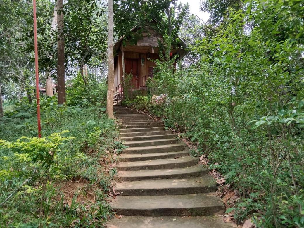 Jungle cottage