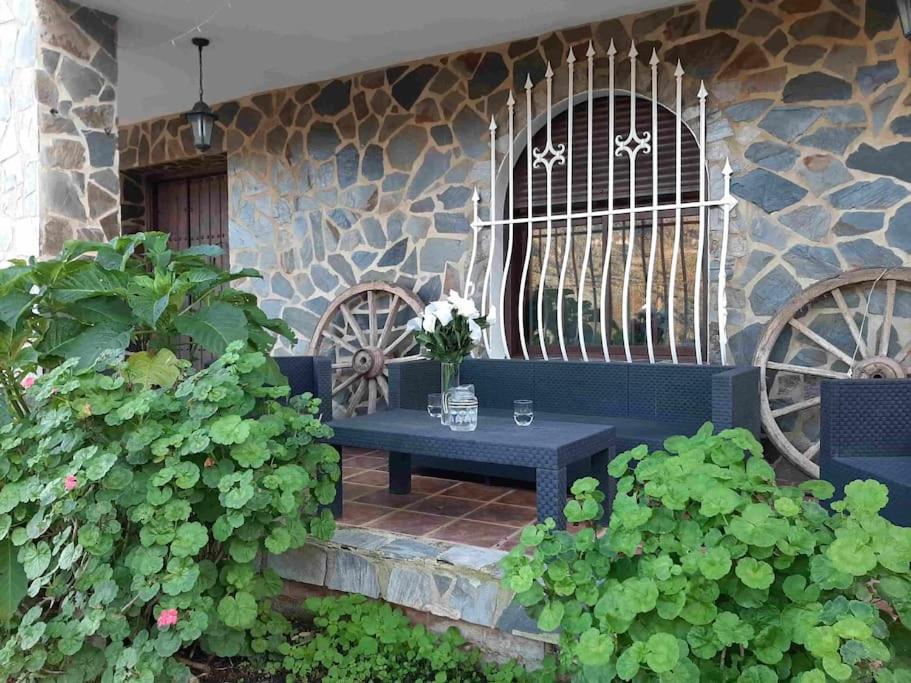 Vivienda Turística El Acebuchal