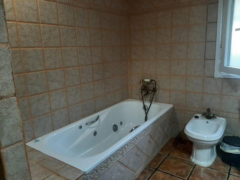 Vivienda Turística El Acebuchal