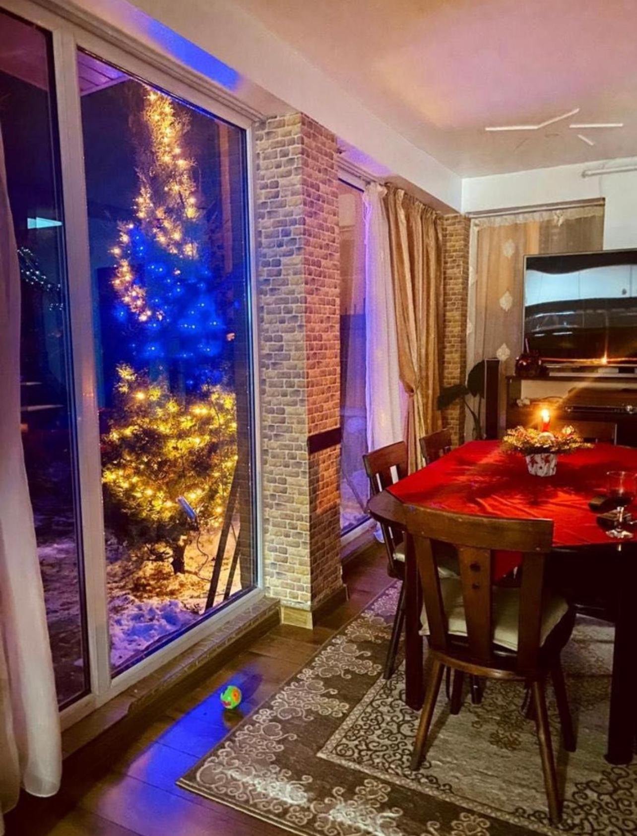 Cabana Busteni
