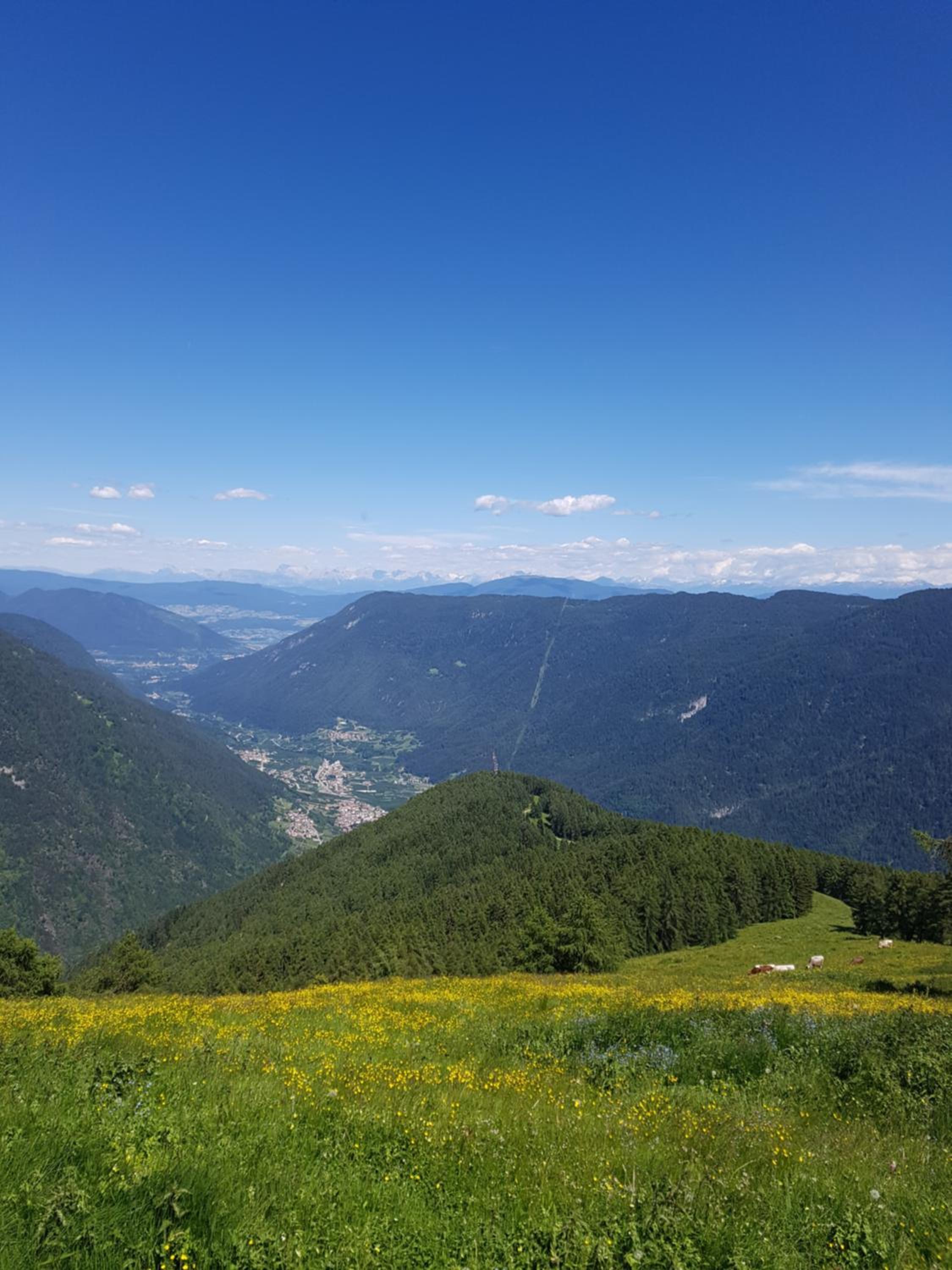 B&B Nido Delle Aquile