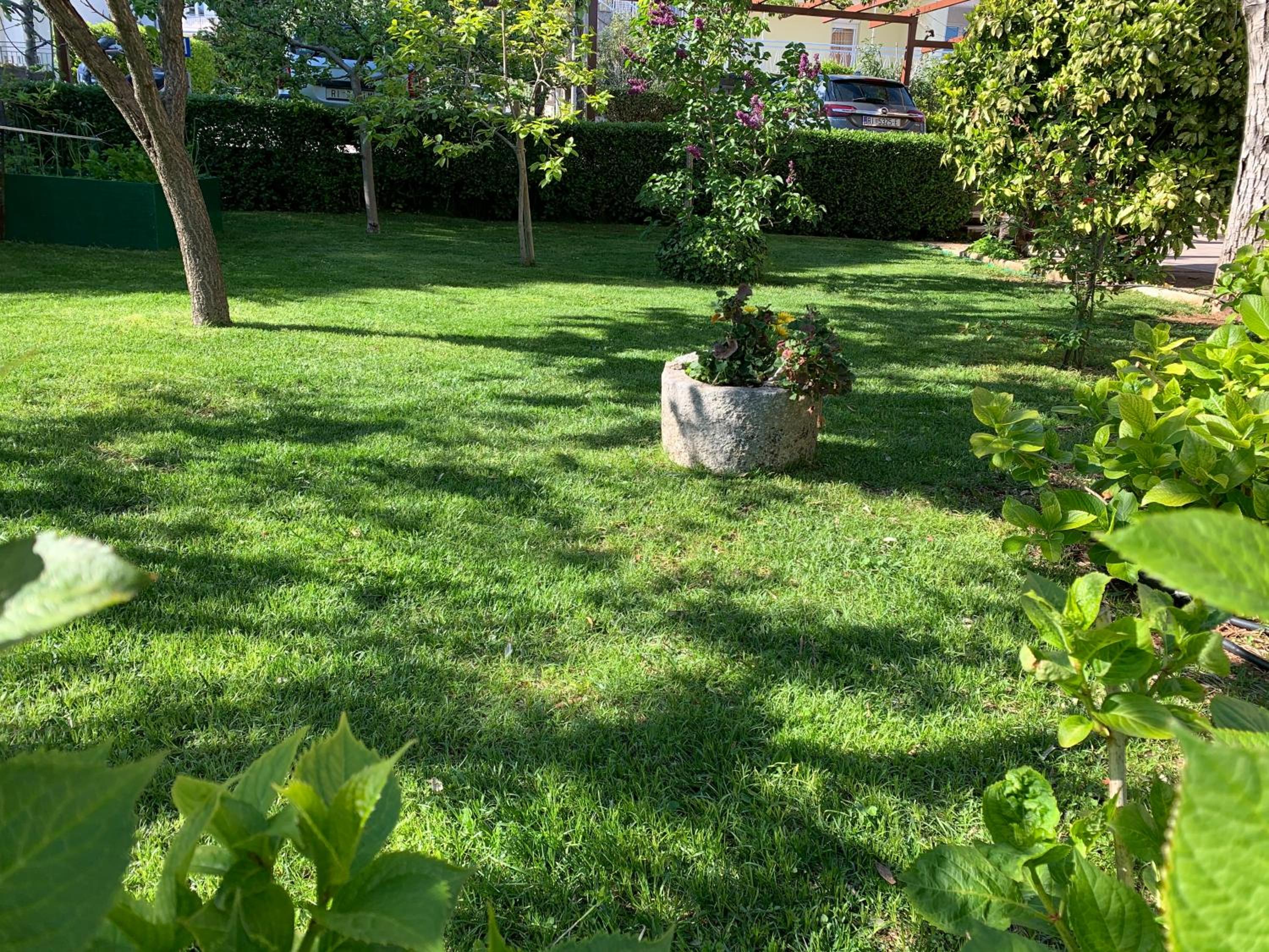 Photo 34