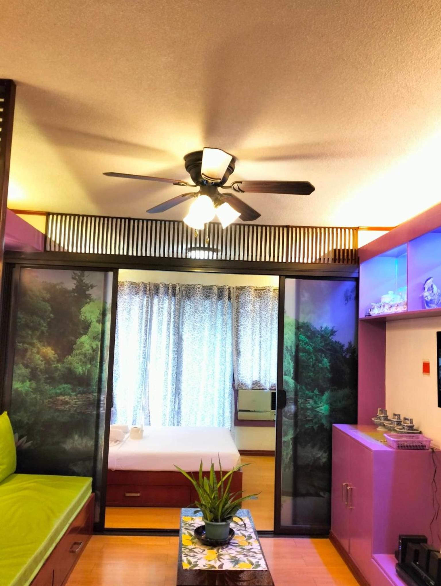 Photo 50