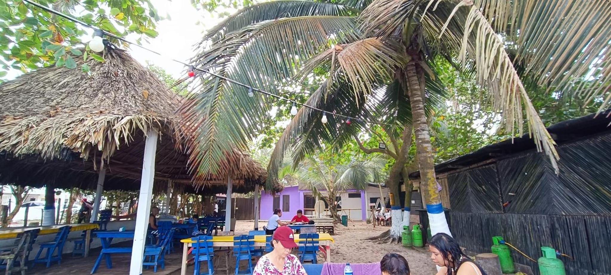 Photo 41