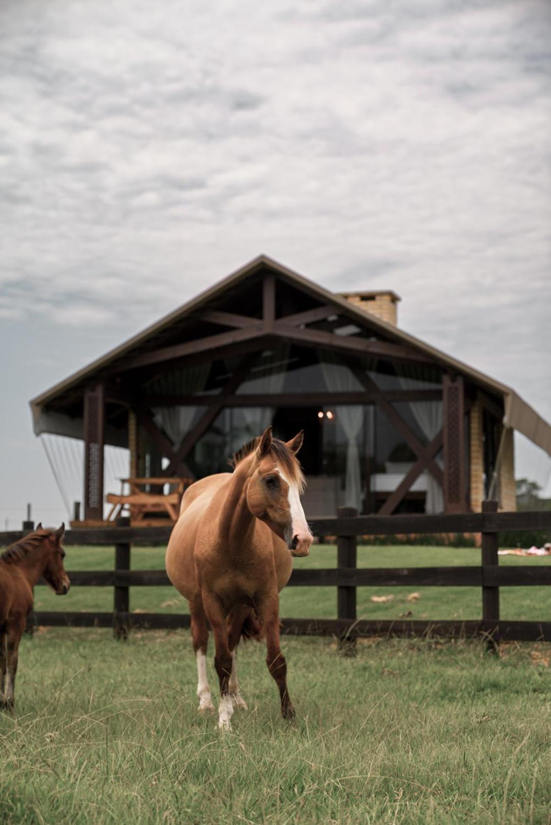 Vicença Glamping