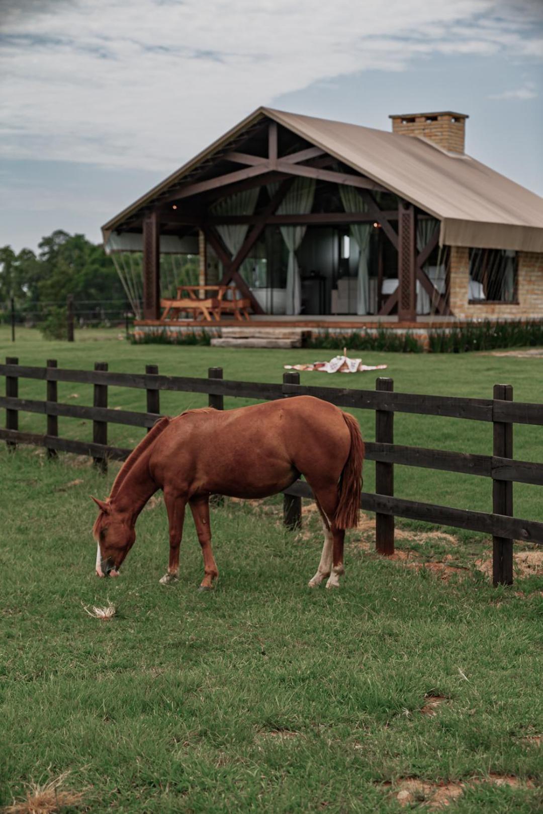 Vicença Glamping