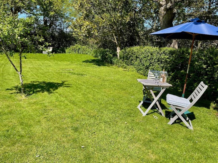 Seaside Spacious Cosy Cottage On The Edge Of The New Forest view 4