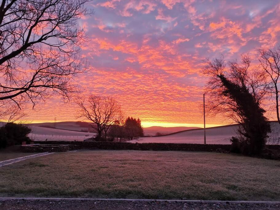 Amazing Cottage & detached Annex sleeps 8, Extra Deep Hot tub, Super Fast wifi, New for 2024 is the addition of Wood Fired Sauna view 5