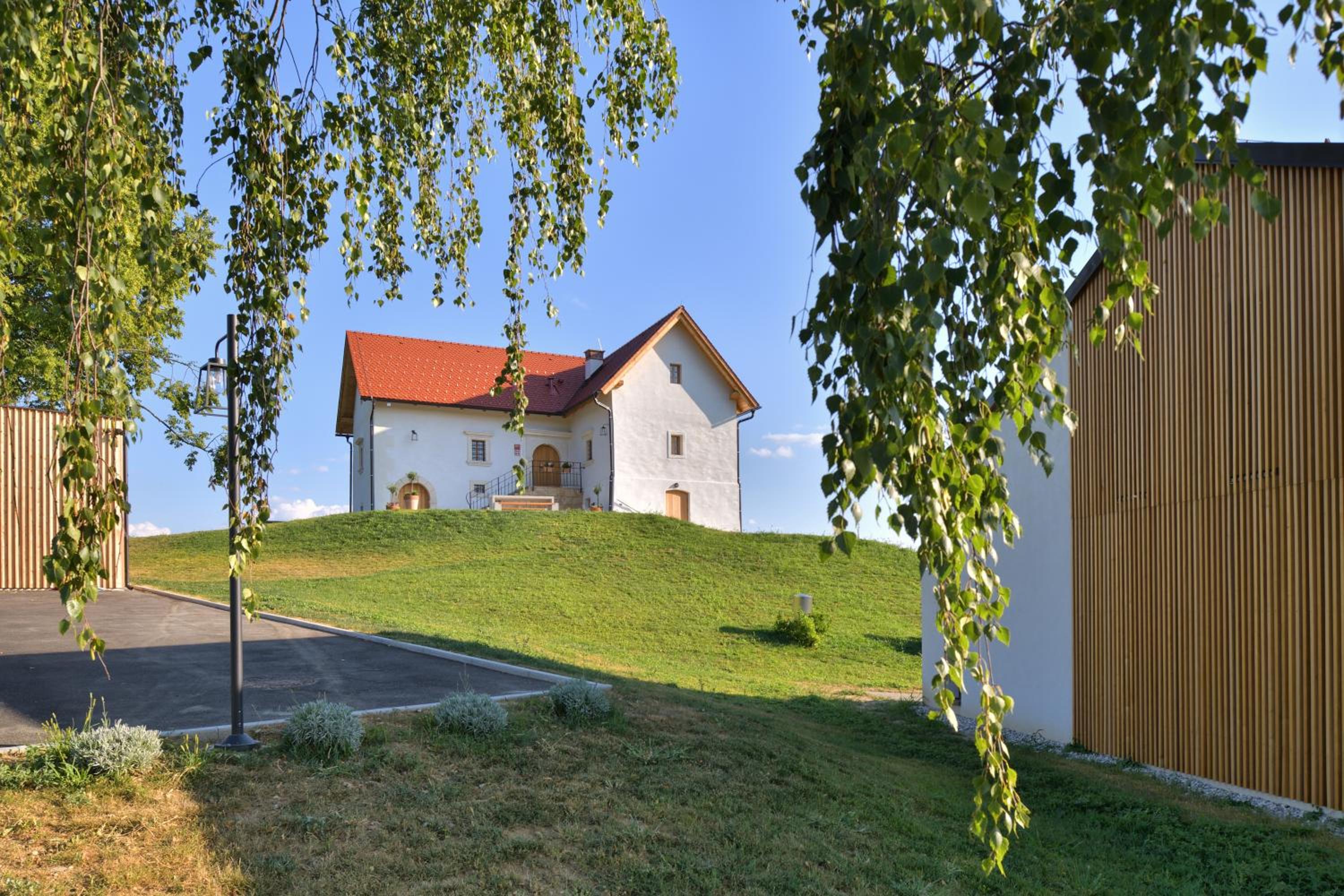 Photo 14