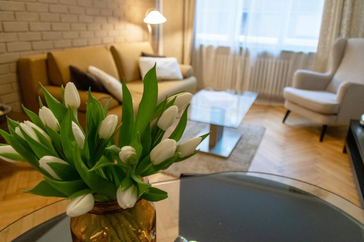 AS Prague Apartments. National Theatre Apt. Old Town