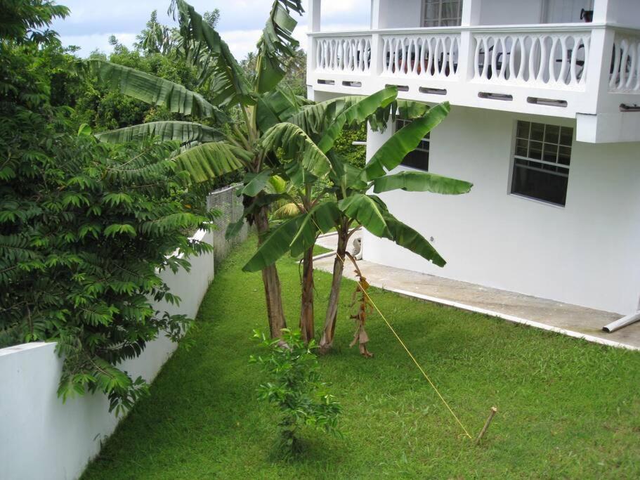 Selen's Apartment in Ti Rocher Micoud Saint Lucia