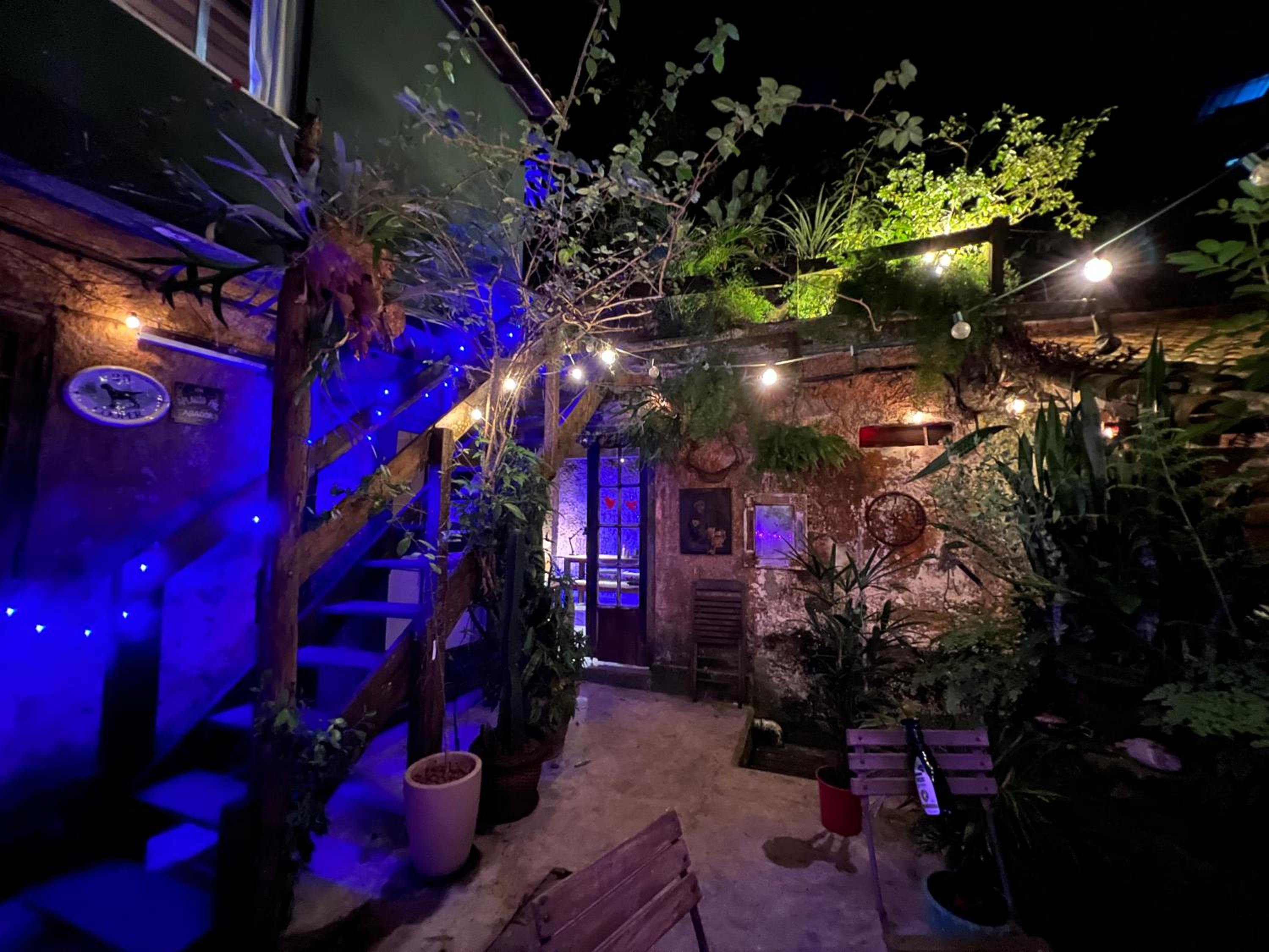 Amazing forest House in the city! Private guest suite - double studio room