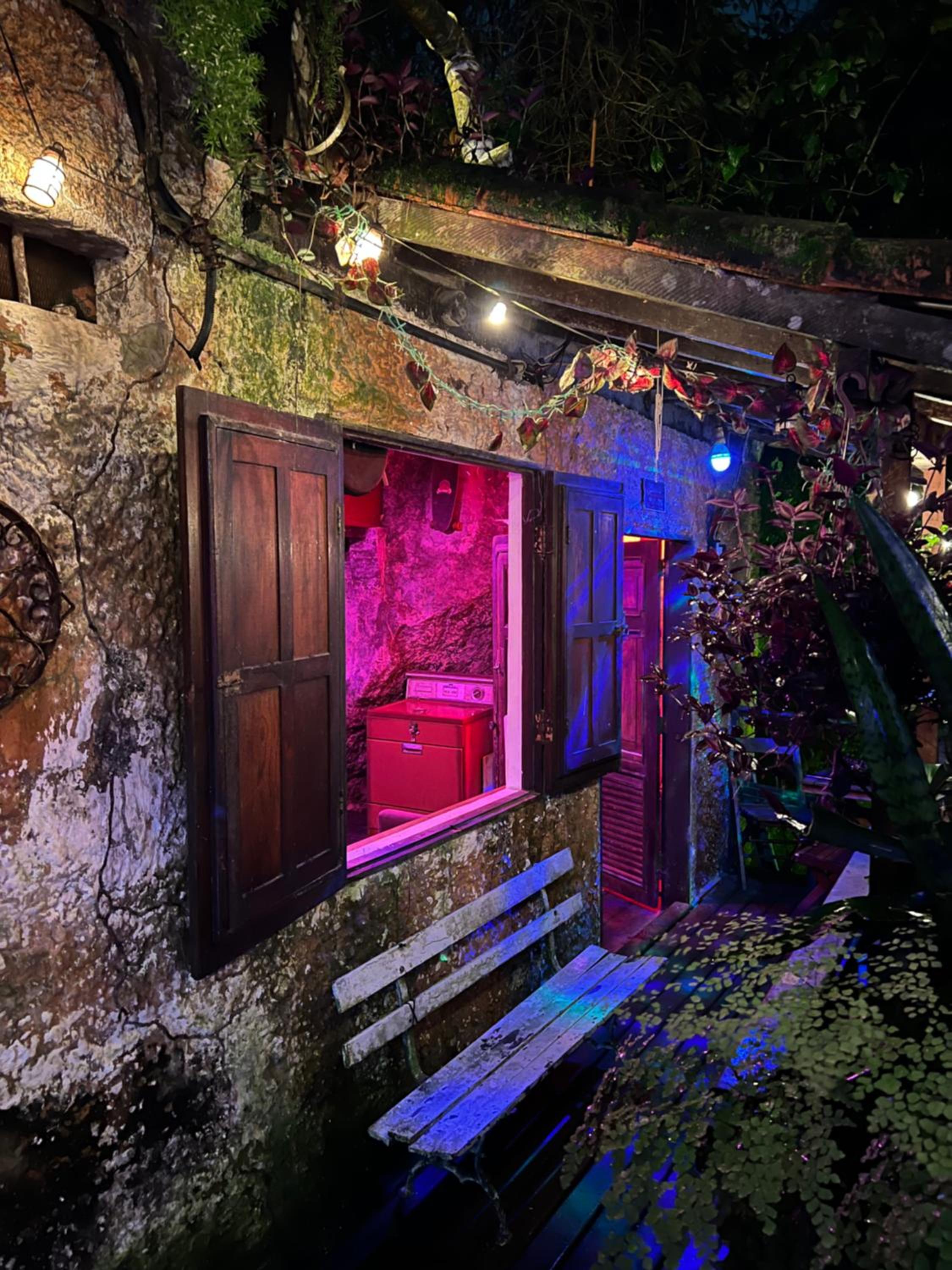 Amazing forest House in the city! Private guest suite - double studio room
