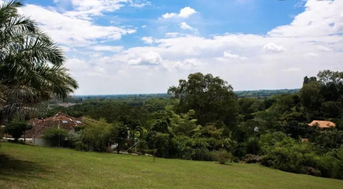 Aventurina