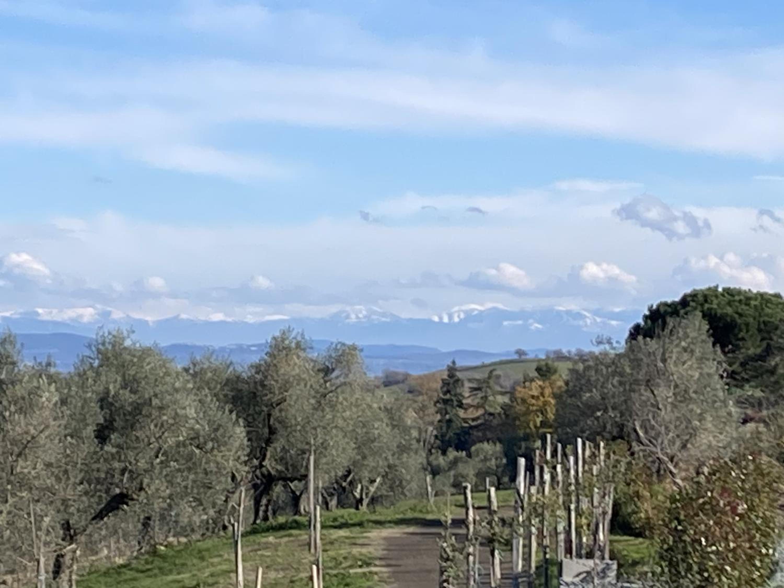 Villa Paladini