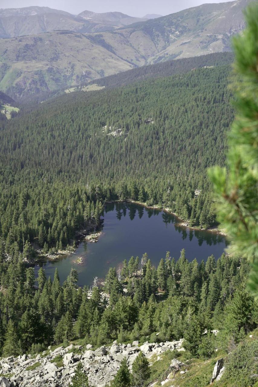 Sustainable Samel's Cottage Hrid's lake Prokletije view 5
