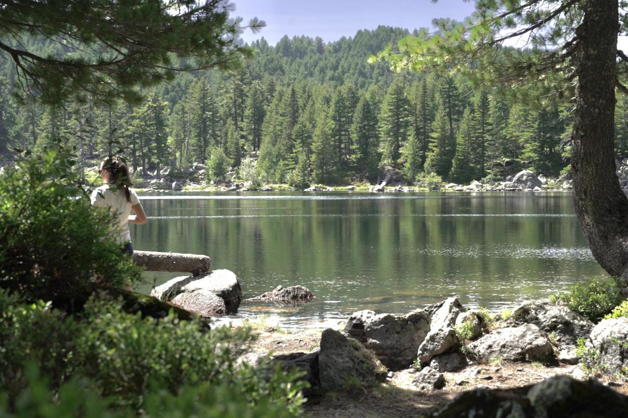 Sustainable Samel's Cottage Hrid's lake Prokletije view 4