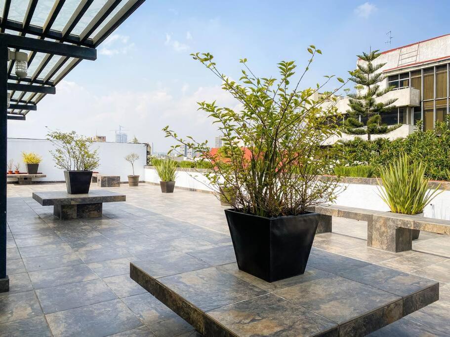 roof