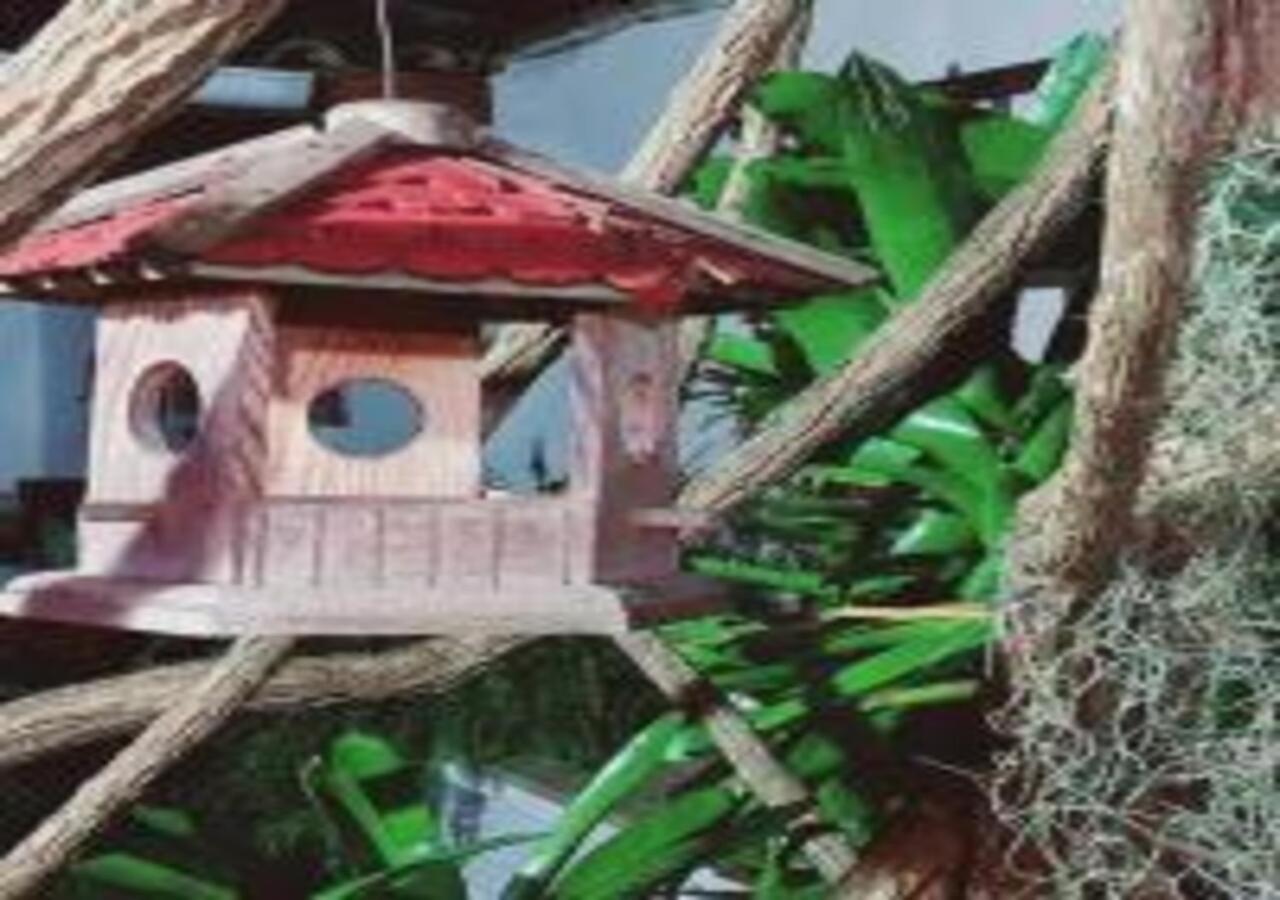Casa Sonia&Rei em condo fechado, vista para o jardim