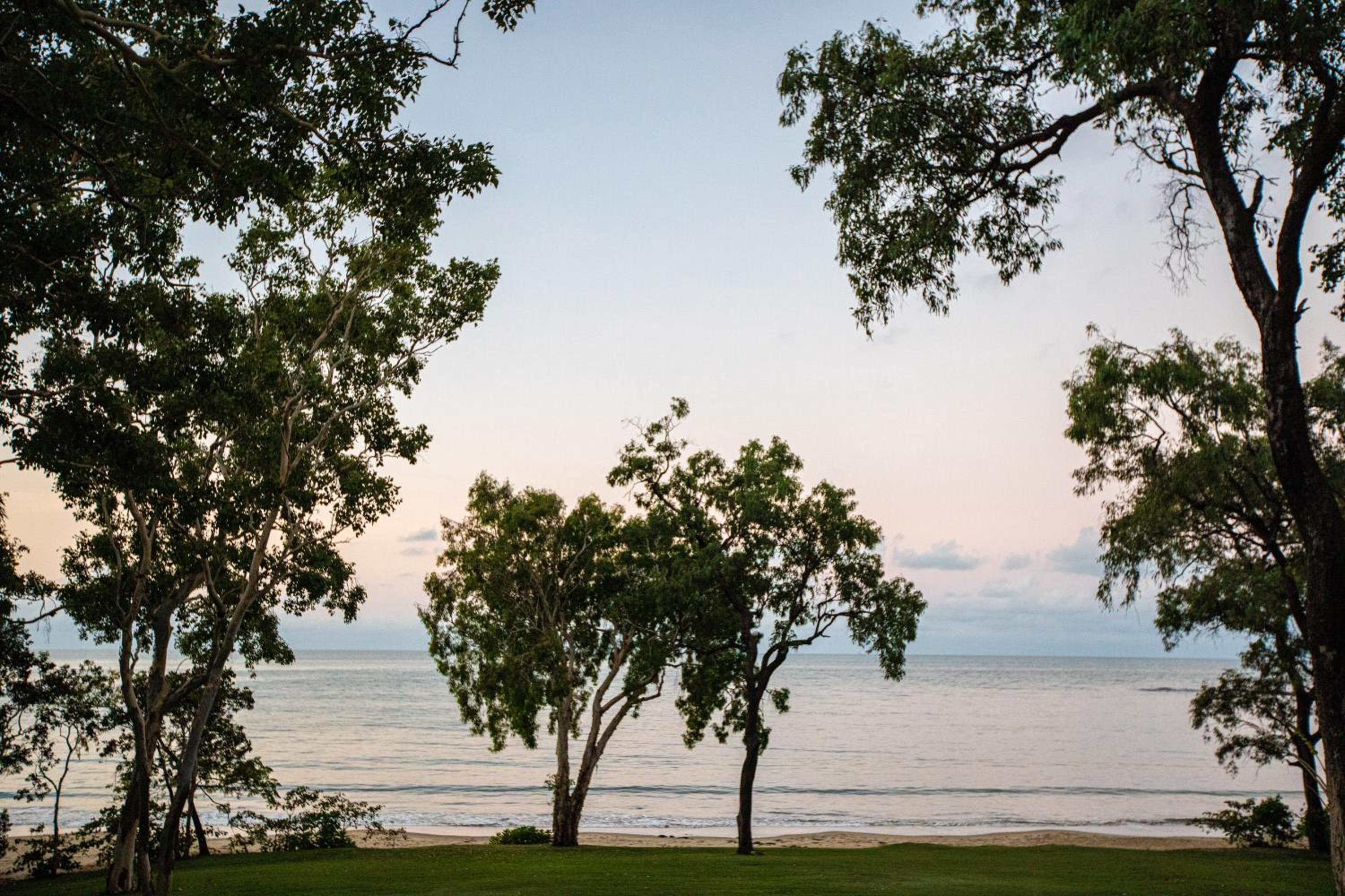 Cottonwood Beachfront, Port Douglas
