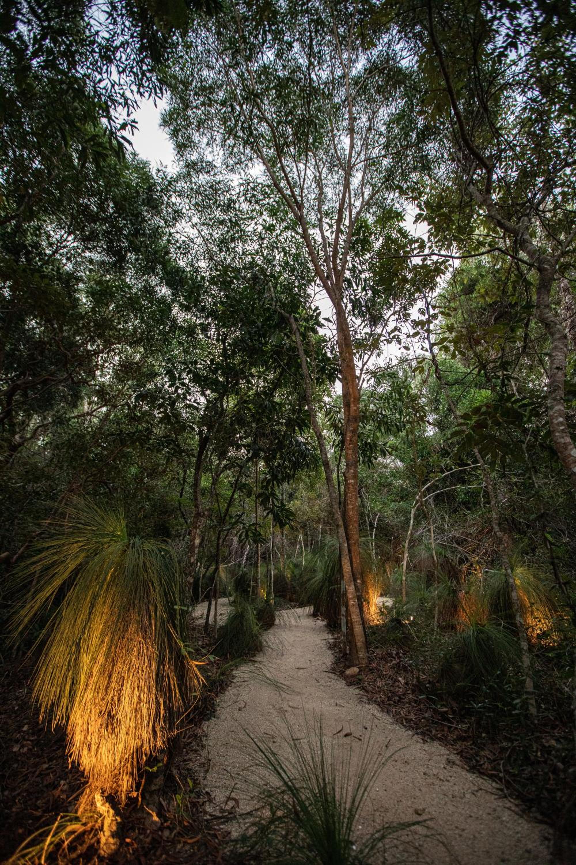 Cottonwood Beachfront, Port Douglas