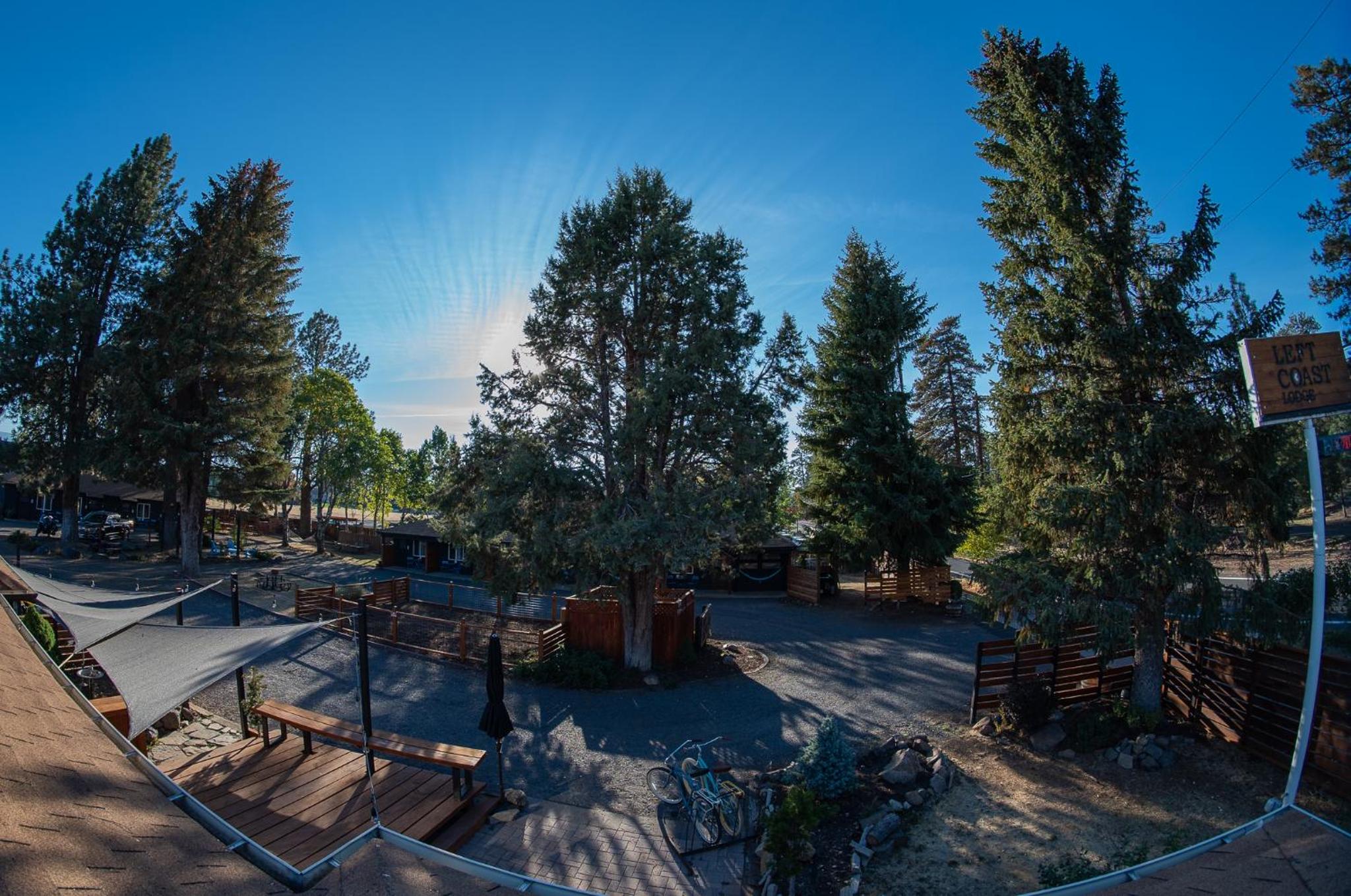The Stranger Lodge - Pet Friendly view 4