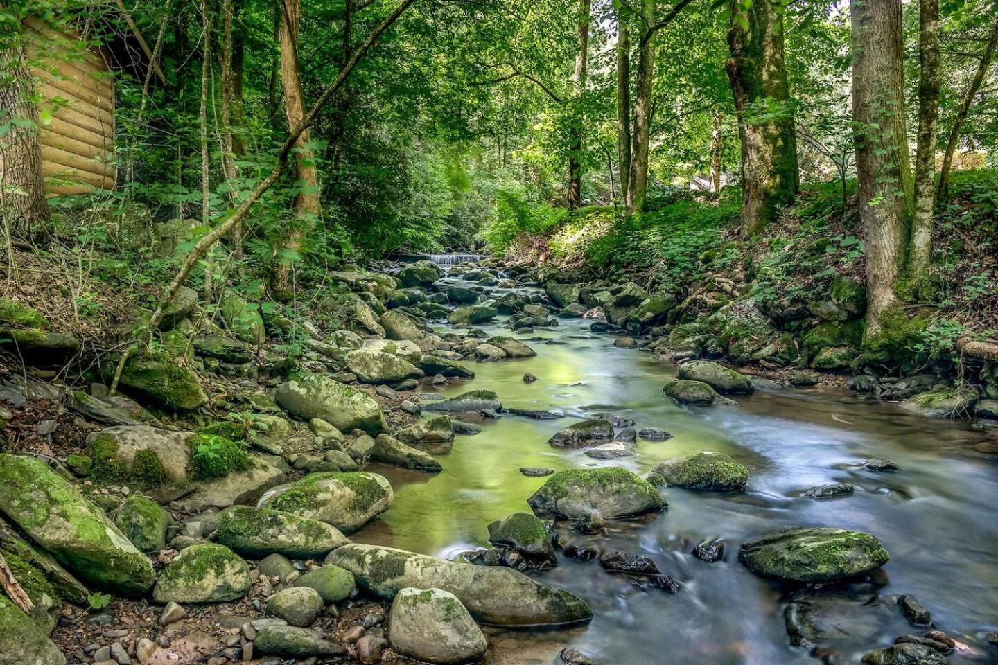 Firefly Creek, Free Attraction Tickets Tickets, Hot Tub, On a Creek, Fire Pit, WIFI!!! view 4