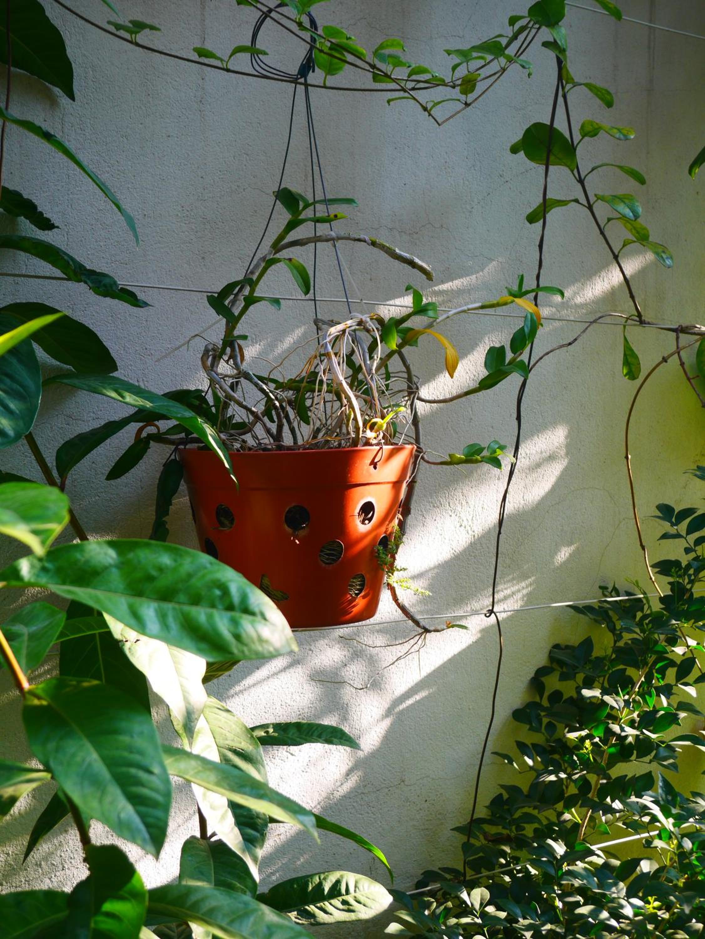 Photo 41
