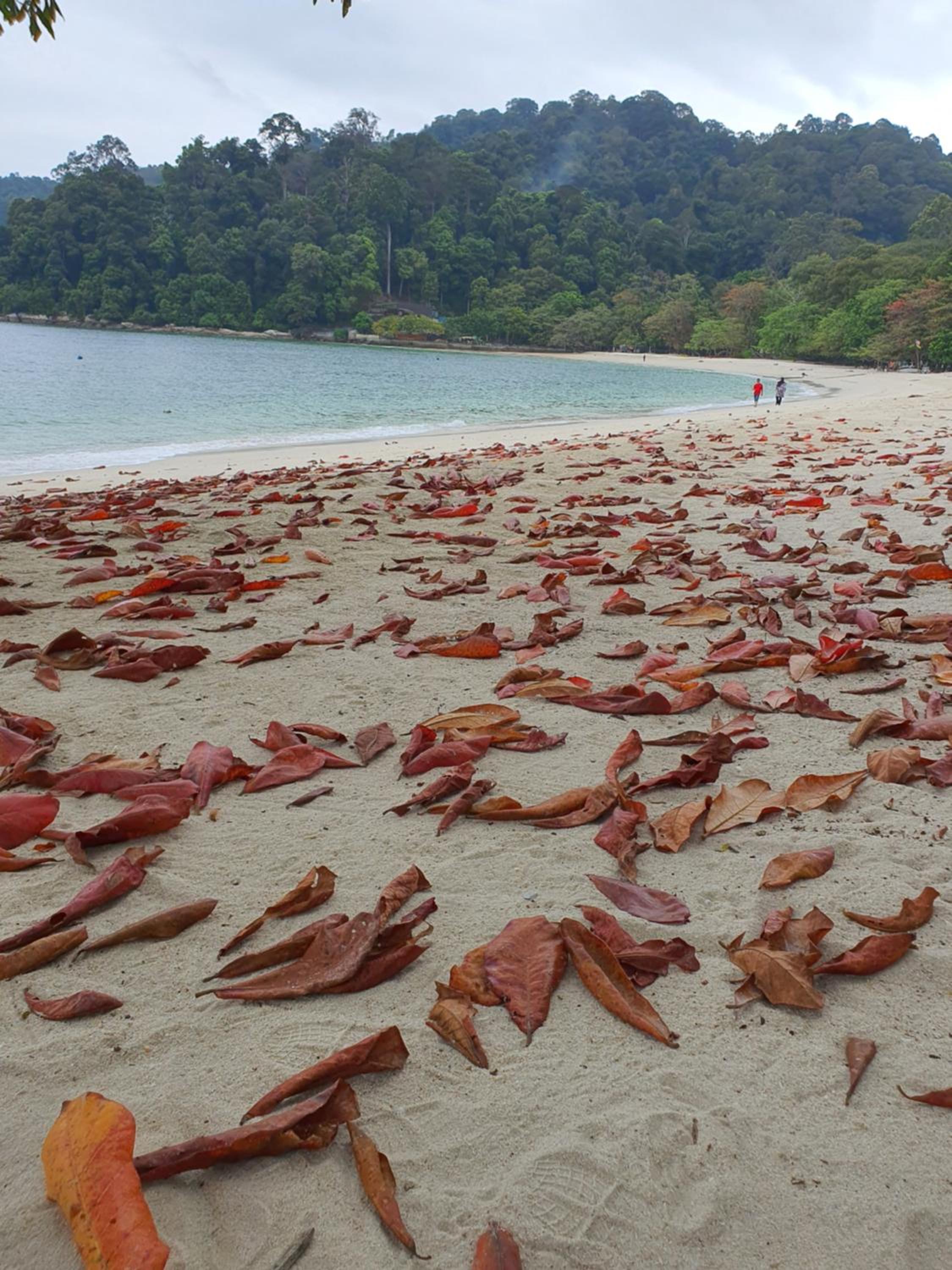 Teratak Nipah Homestay Teluk Nipah Pangkor, photo 20
