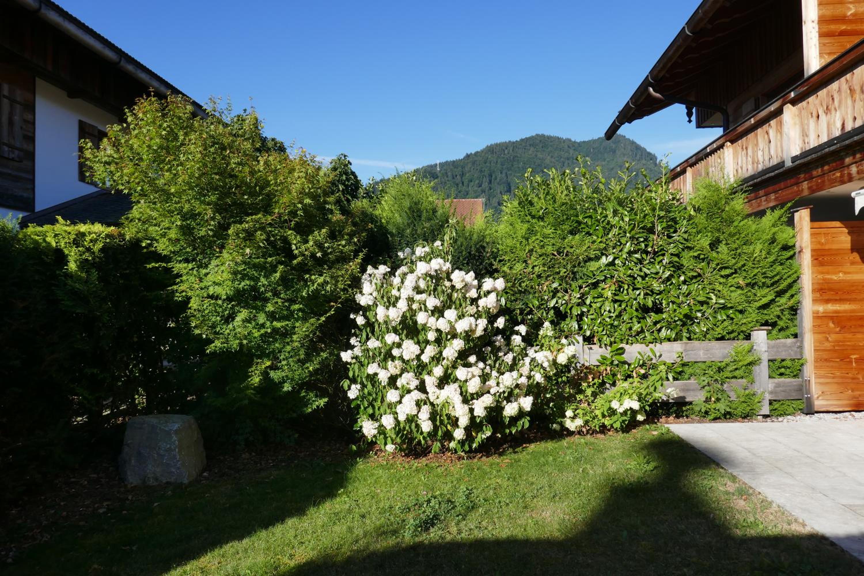 Photo 32