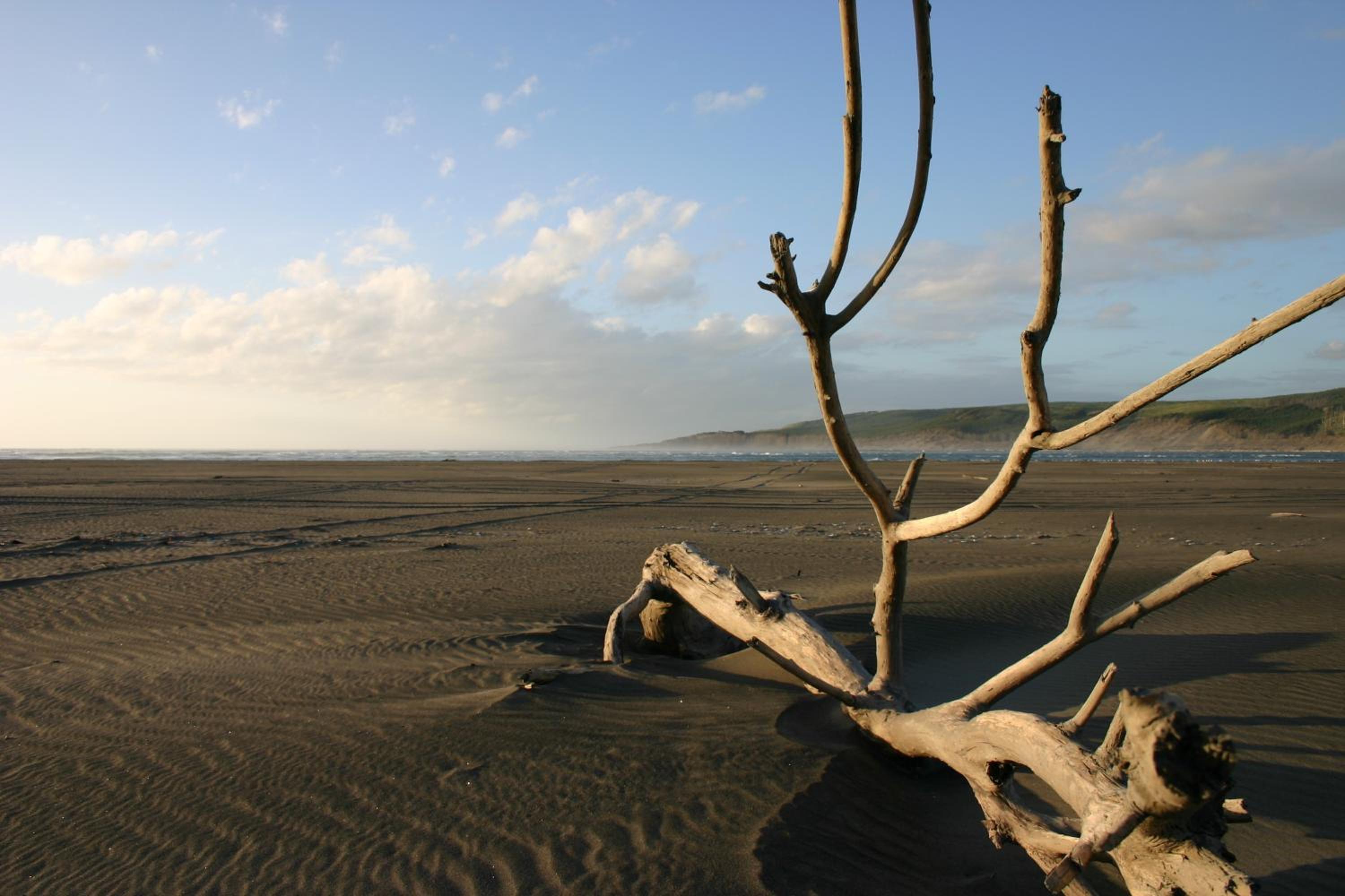 Port Waikato Holiday Park
