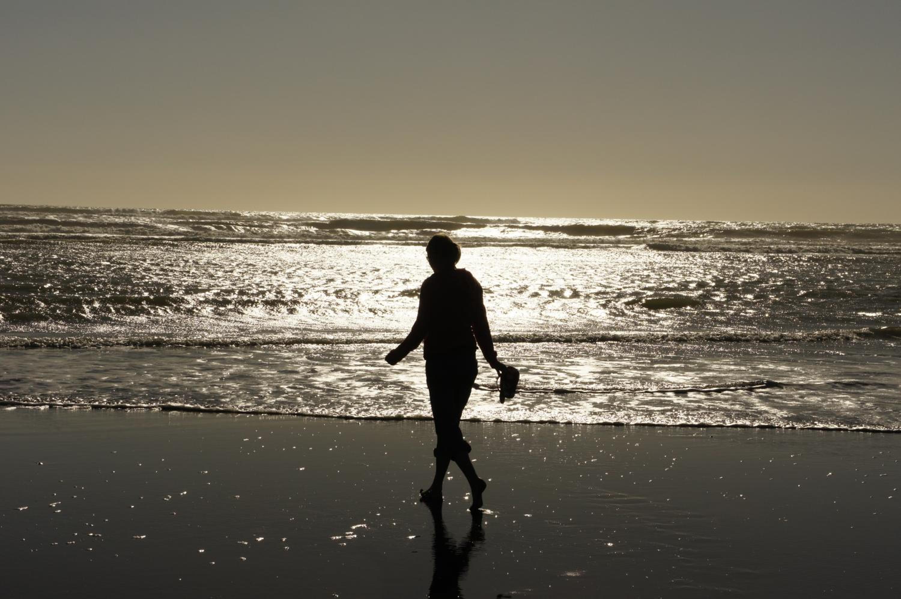 Port Waikato Holiday Park