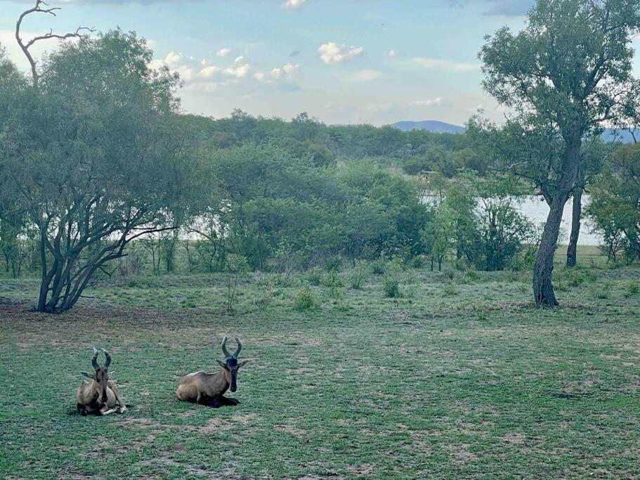 Lodge on Watering Hole , Zebula view 4