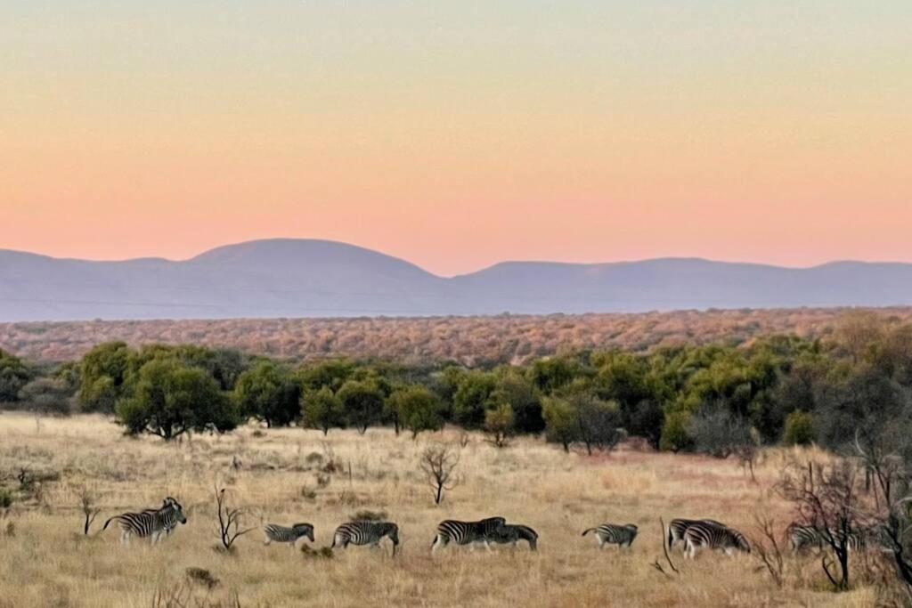 Lodge on Watering Hole , Zebula view 5