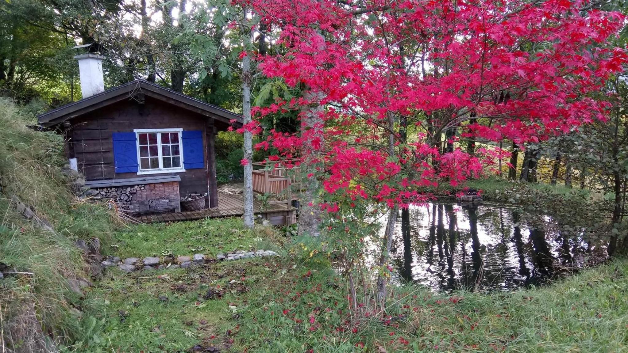 Kleines Paradies Montafon