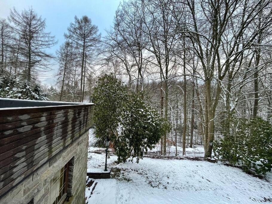 Sorpe Lodge - Entspannte Urlaubstage am See!