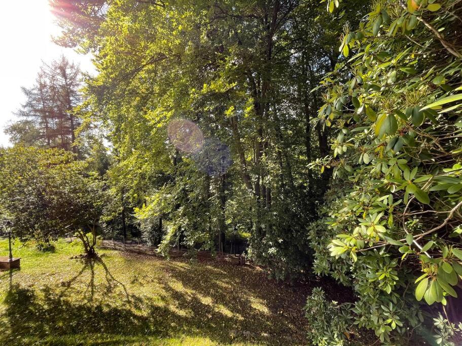 Sorpe Lodge - Entspannte Urlaubstage am See!
