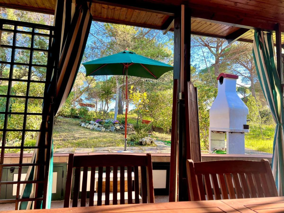 All'ombra dei pini - Casa Vacanze Pet Friendly