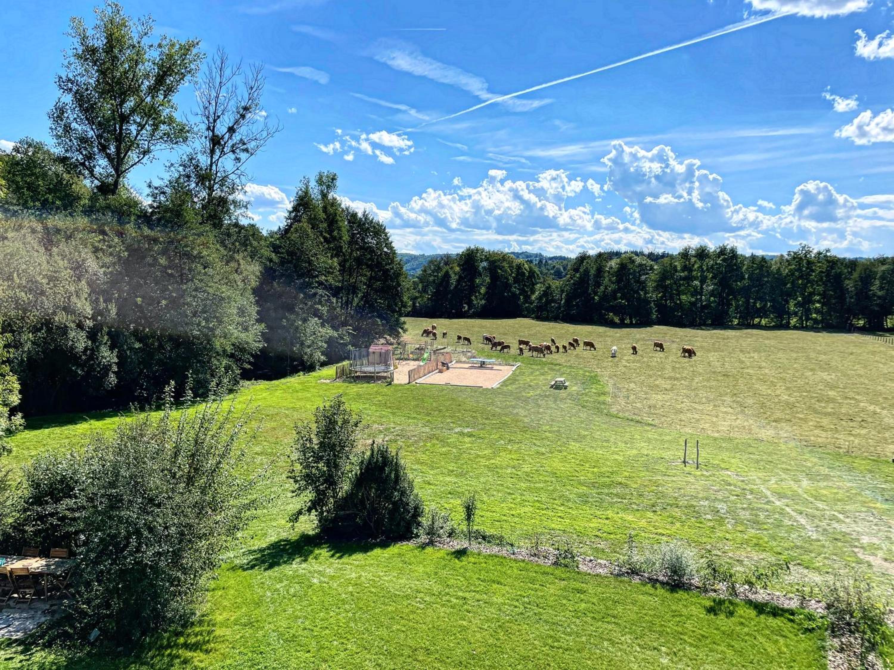 L'ancien Relais de Poste*** view 5