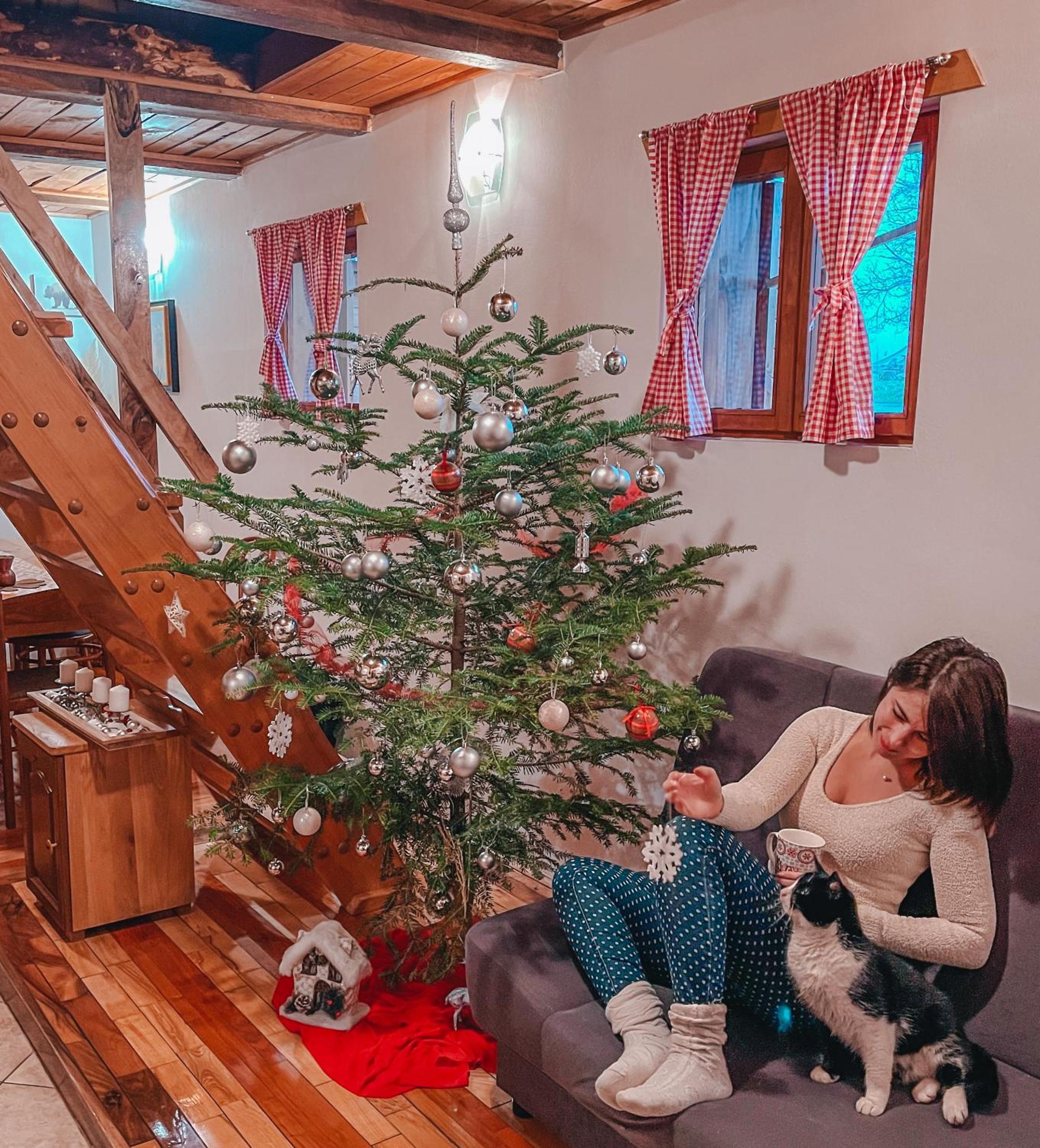 Imanje Jelaš view 5