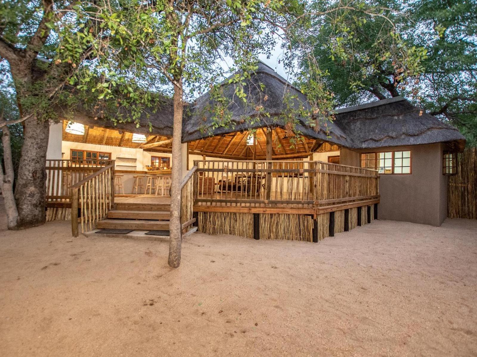 Langa Langa Safari Camp - Inc 2 Kruger Safaris Daily