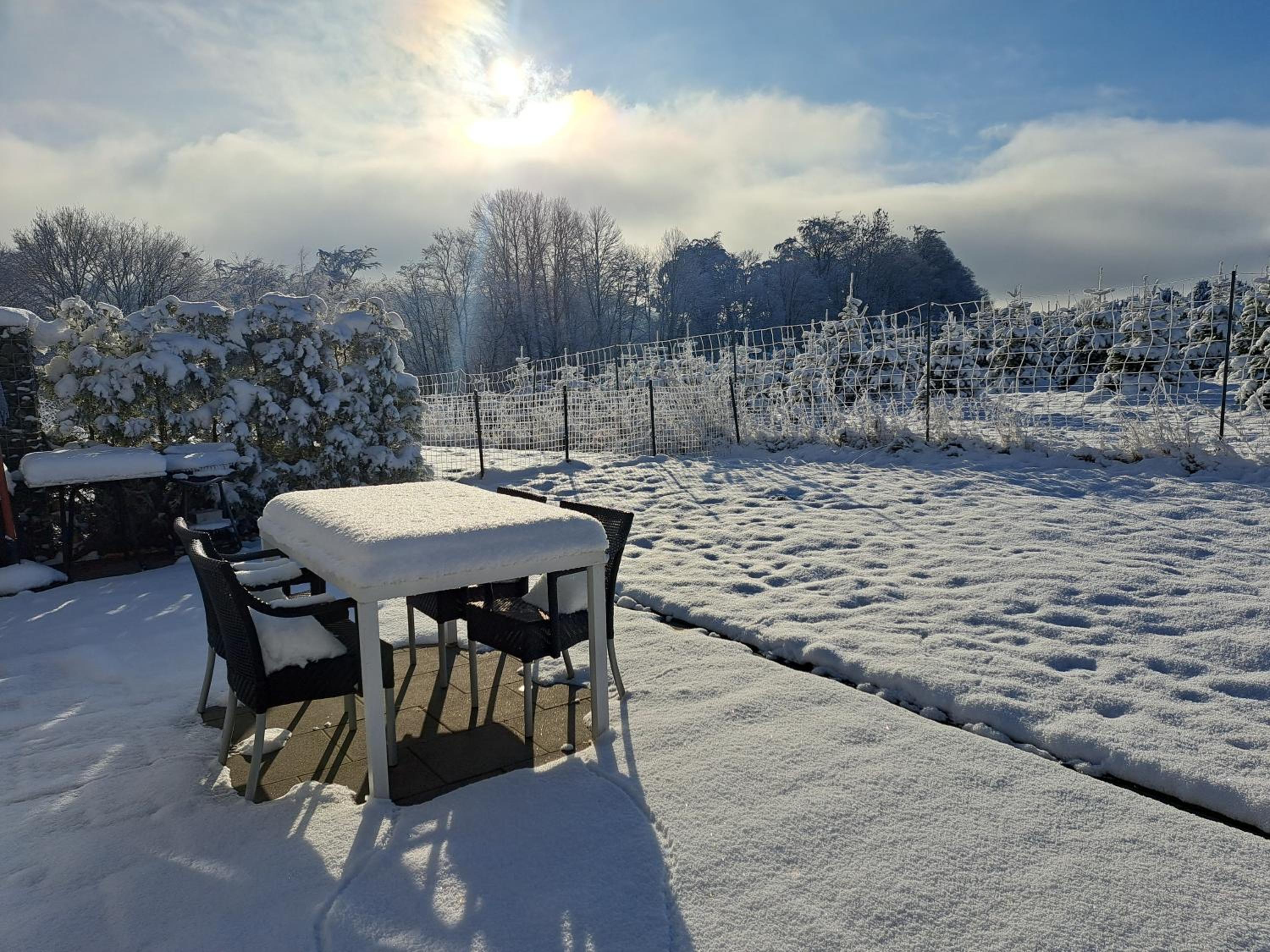Garden apartment Winterberg WOODS